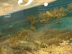 -喜来酌海鲜·饺子(和平一店)