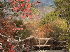 -秦岭终南山世界地质公园翠华山景区