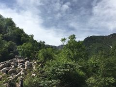 -陕西省红河谷森林公园
