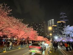 -西北湖绿化广场