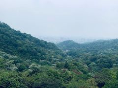 -广州市白云山风景名胜区