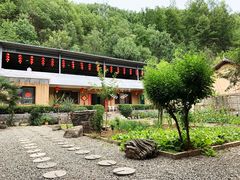 -柞水乾佑红门家菜