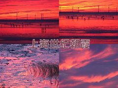 -南汇嘴观海公园