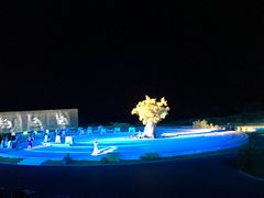 -鼎盛王朝康熙大典实景演出