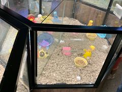 -宠物世家(仲盛世界商城店)