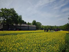 -北坞公园