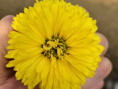 -味之绝美蛙鱼火锅(八号路店)