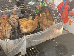 -永汉农贸综合市场