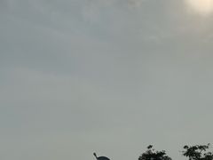 -厦门园林博览苑