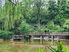 -龙头寺公园