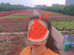 -南阳建业森林半岛假日酒店