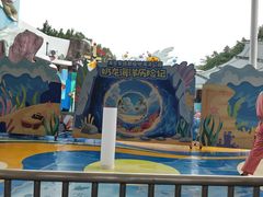 -海合安成都极地海洋公园