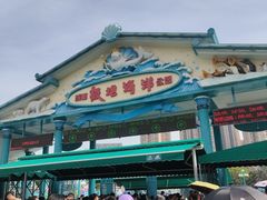 -海合安成都极地海洋公园