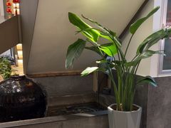 -滇铺子·云南特色菜·第九届野生菌美食节(东风东路c86店)
