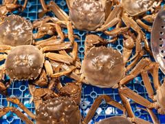 -苏格里岛自助烤肉海鲜火锅(成都金牛万达店)