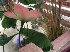 -荷塘秋月·本帮江浙菜(国权路店)