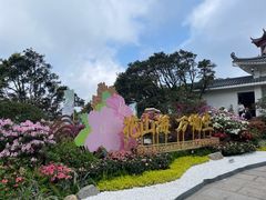 -梧桐山风景名胜区