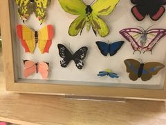 -猫的天空之城概念书店(杭州南宋御街店)