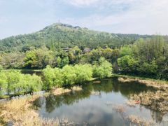 -仙山湖景区