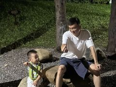 -宝安西湾红树林湿地公园