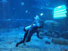 -华夏文旅海洋公园