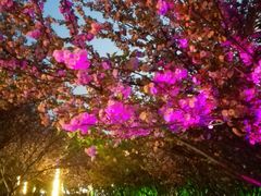 -苏州河梦清园环保主题公园