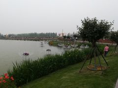 -荷兰花海