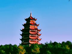 -铁山坪森林公园