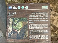 -楠溪江石桅岩