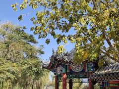-荣国府