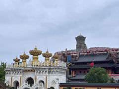 -上海东林寺(金山区)