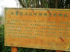 -白鹭湾湿地公园