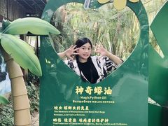 -呀诺达热带雨林