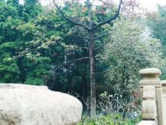 -晓港公园