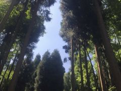-太阳湾风景区