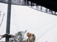 -武汉动物园