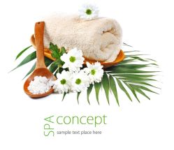 -四季酒店·泺水疗SPA