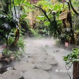吃菌子火锅就到爱尚菌