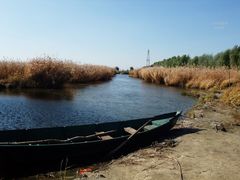 -白渔泡湿地公园