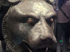 -广西壮族自治区博物馆