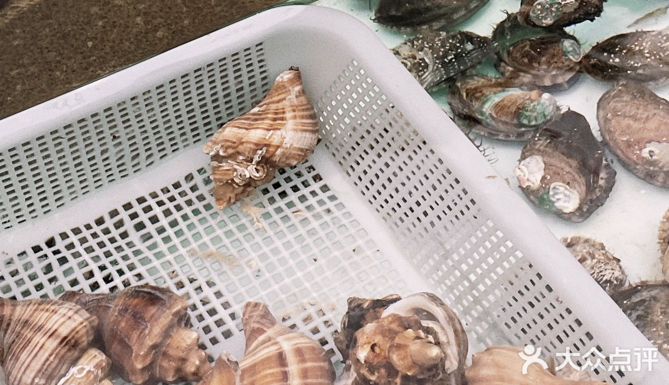 海鲜烧烤，一场味蕾的盛宴
