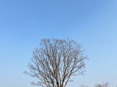 -盘龙城国家考古遗址公园