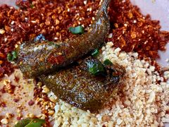 鳝鱼-晓靖轩烧烤(沙河风情店)