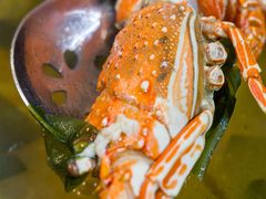 滋补小青龙锅-丁字口海鲜热炒·烧烤大排档