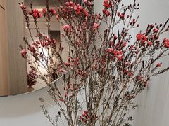 -梅花境(万科店)