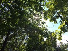 -帽儿山国家森林公园