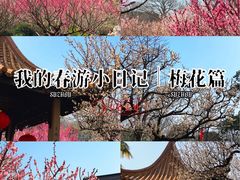 -雨花胜境