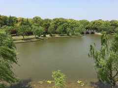 -上海鲜花港