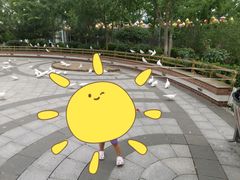 -南宫五洲植物乐园