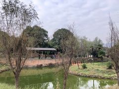 -杭州野生动物世界